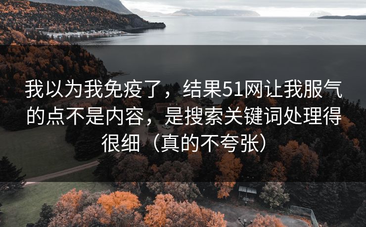我以为我免疫了，结果51网让我服气的点不是内容，是搜索关键词处理得很细（真的不夸张）